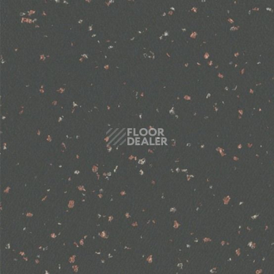 Линолеум Taralay Premium Indiana 8470 Samoa фото 1 | FLOORDEALER